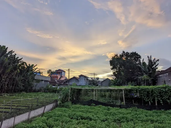 Pemandangan awan di sore hari
