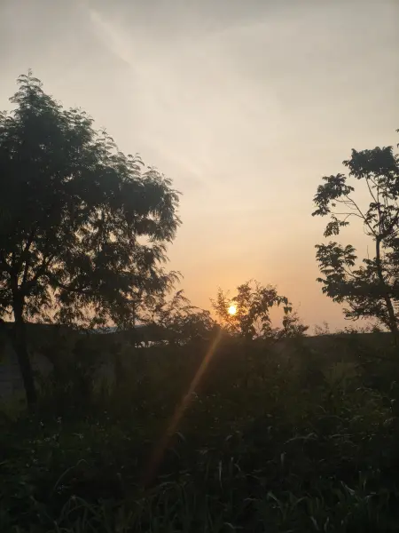 sunrise