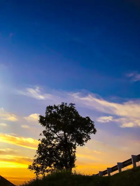 Sunset vibes aesthetic