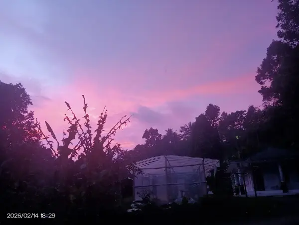 Pemandangan Senja Di Halaman Rumah