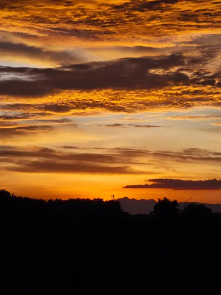 Pemandangan Sunset Di Sawah Dekat Rumah