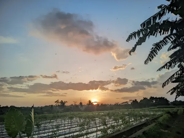 Sunset di desa