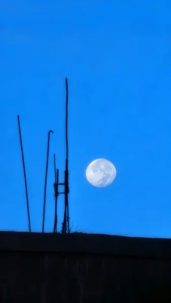Bulan