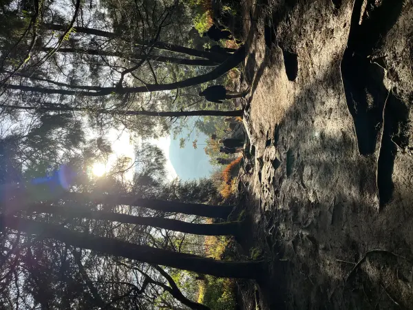 mount of dienk wonosobo