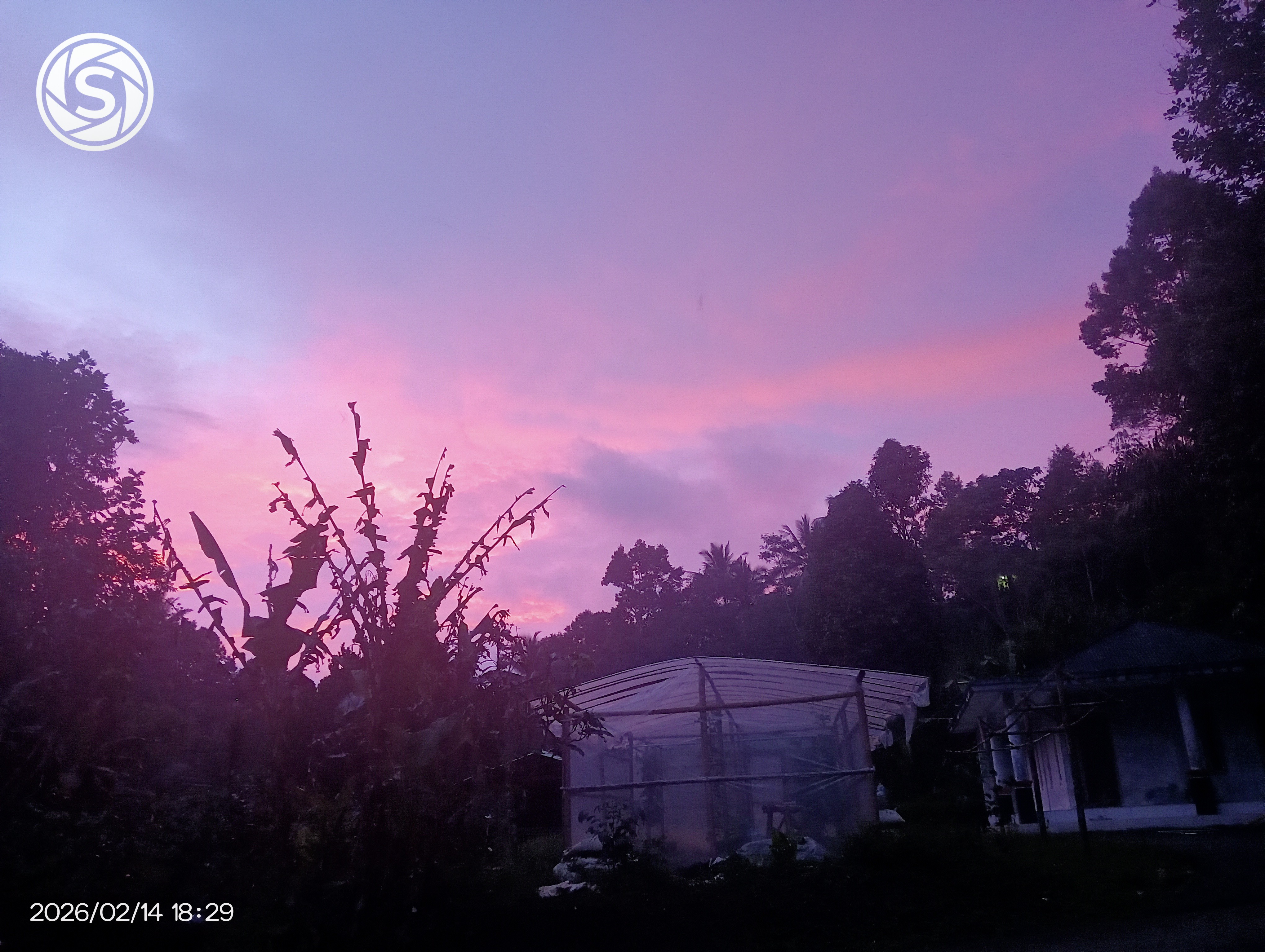 Pemandangan Senja Di Halaman Rumah - foto oleh Rosa Fitriani di PictStock