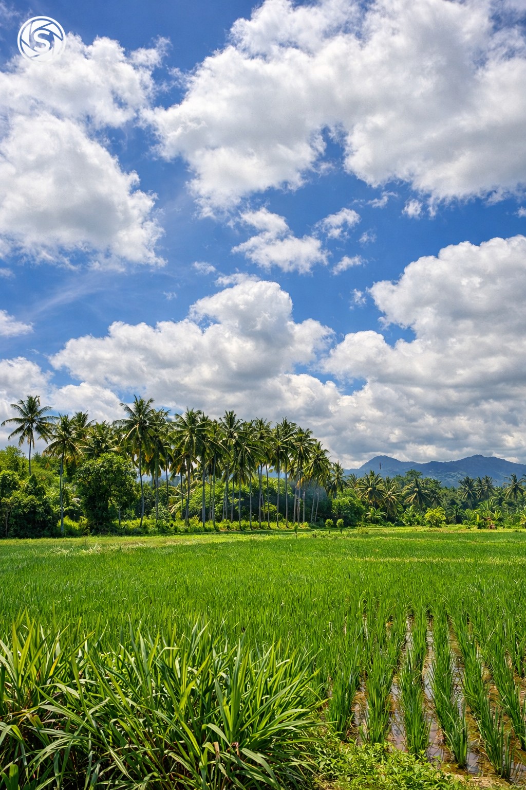 Pemandangan - foto oleh Raebul Suhendra di PictStock