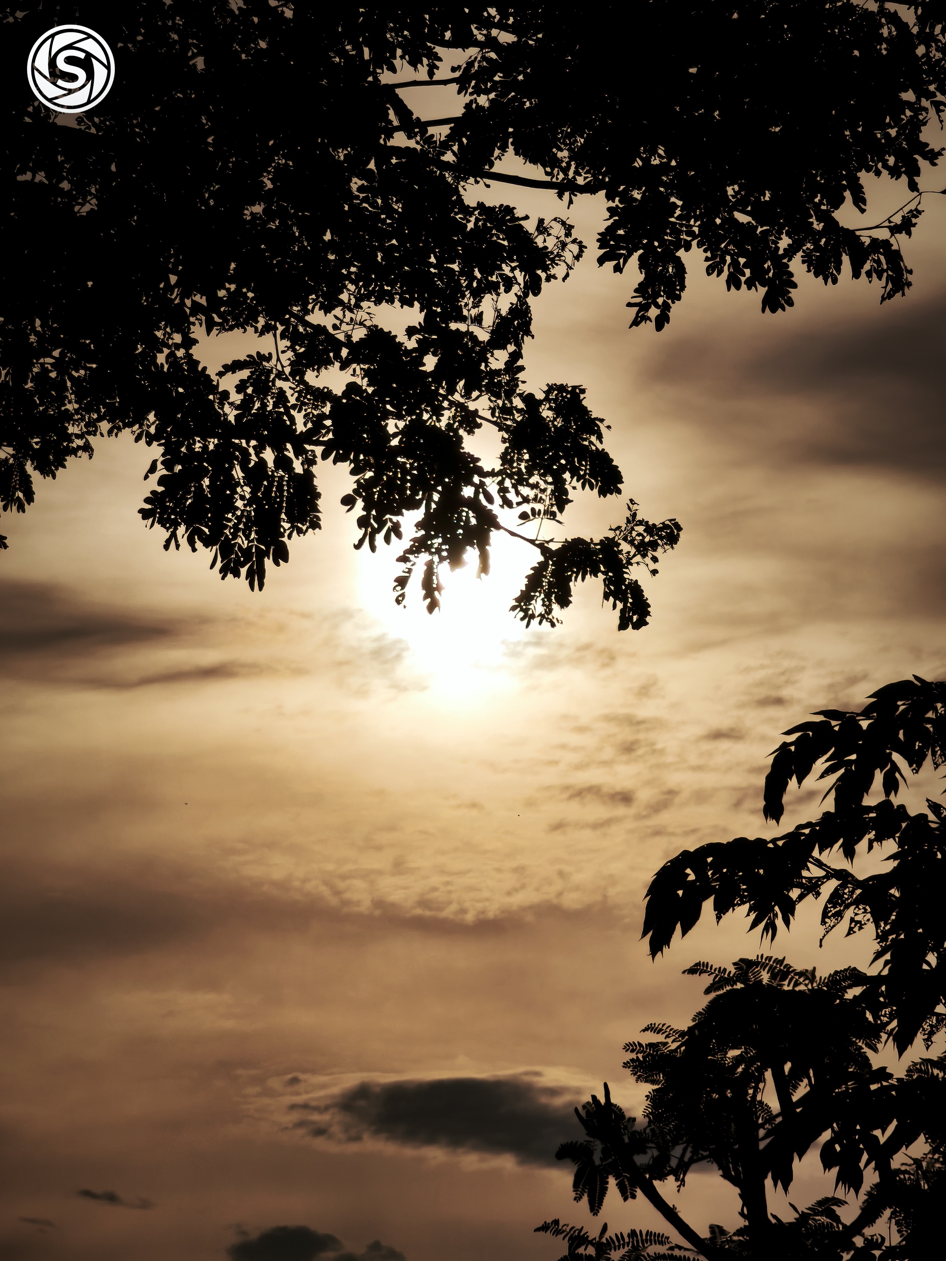 Pemandangan Sunrise - foto oleh Rs Pr di PictStock