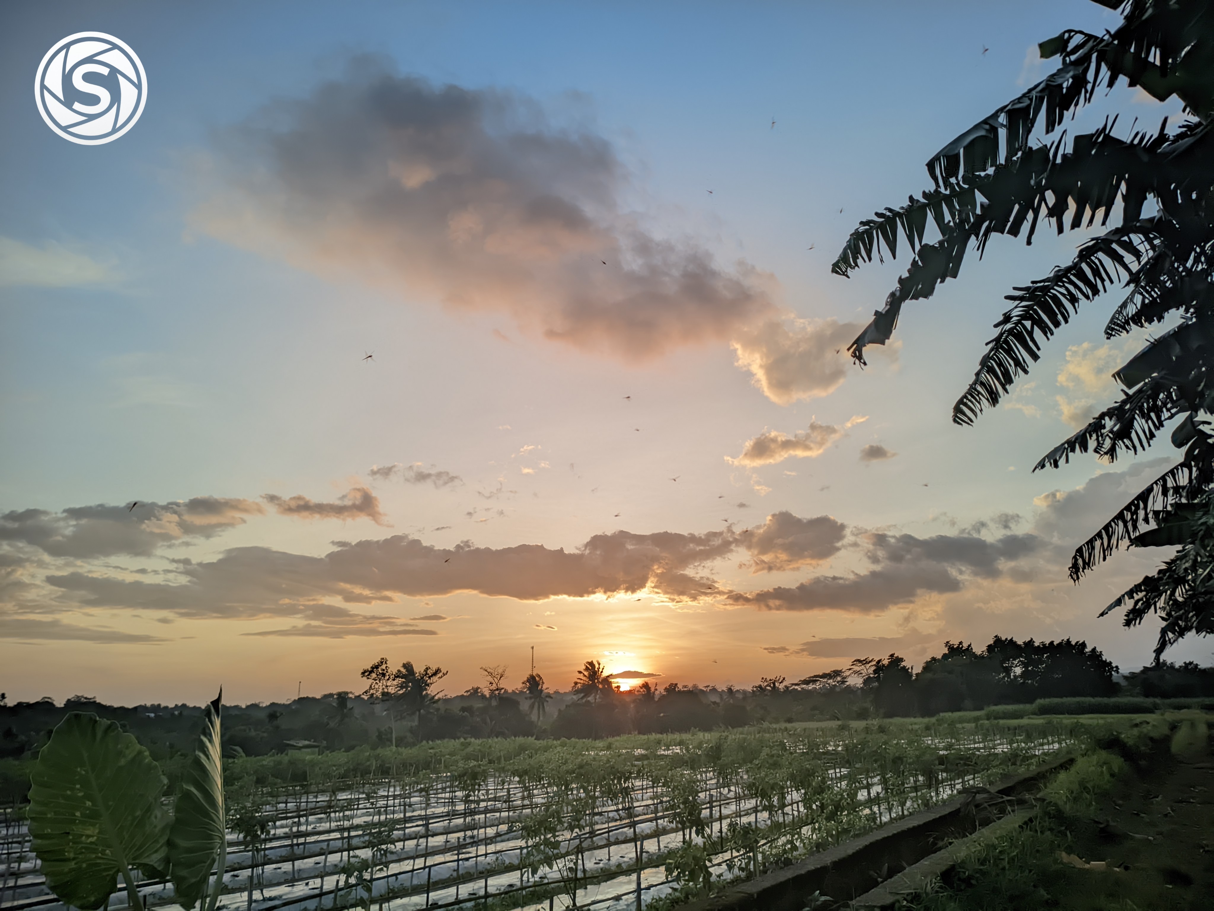 Sunset di desa - foto oleh Berkah Bae di PictStock