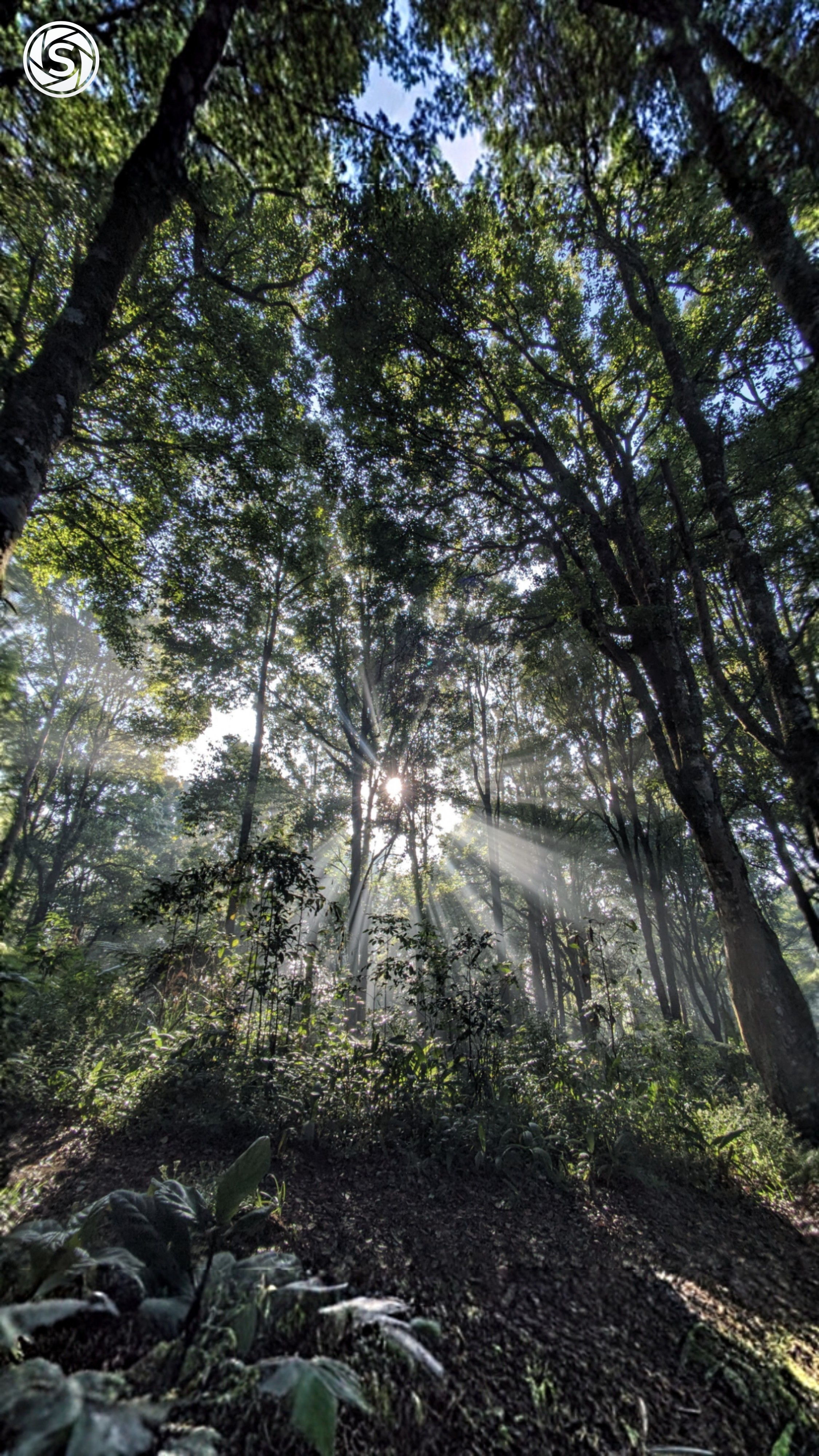 Sun - foto oleh Regular User di PictStock