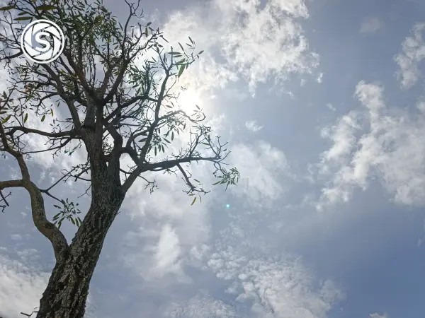 alam liar - foto oleh Fauzan M I di PictStock