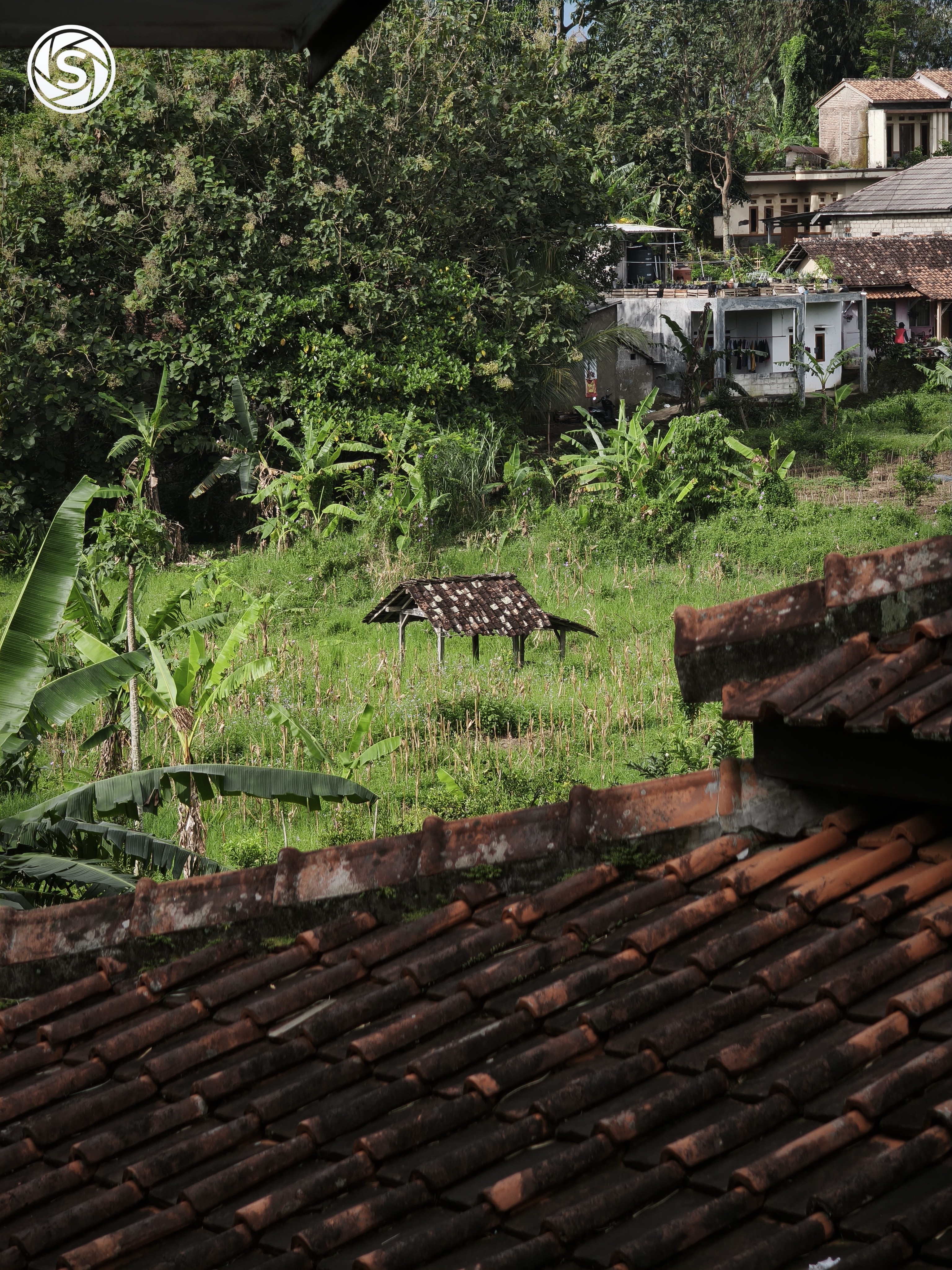 Saung di tengah kebun - foto oleh Muhammad Farhan F di PictStock