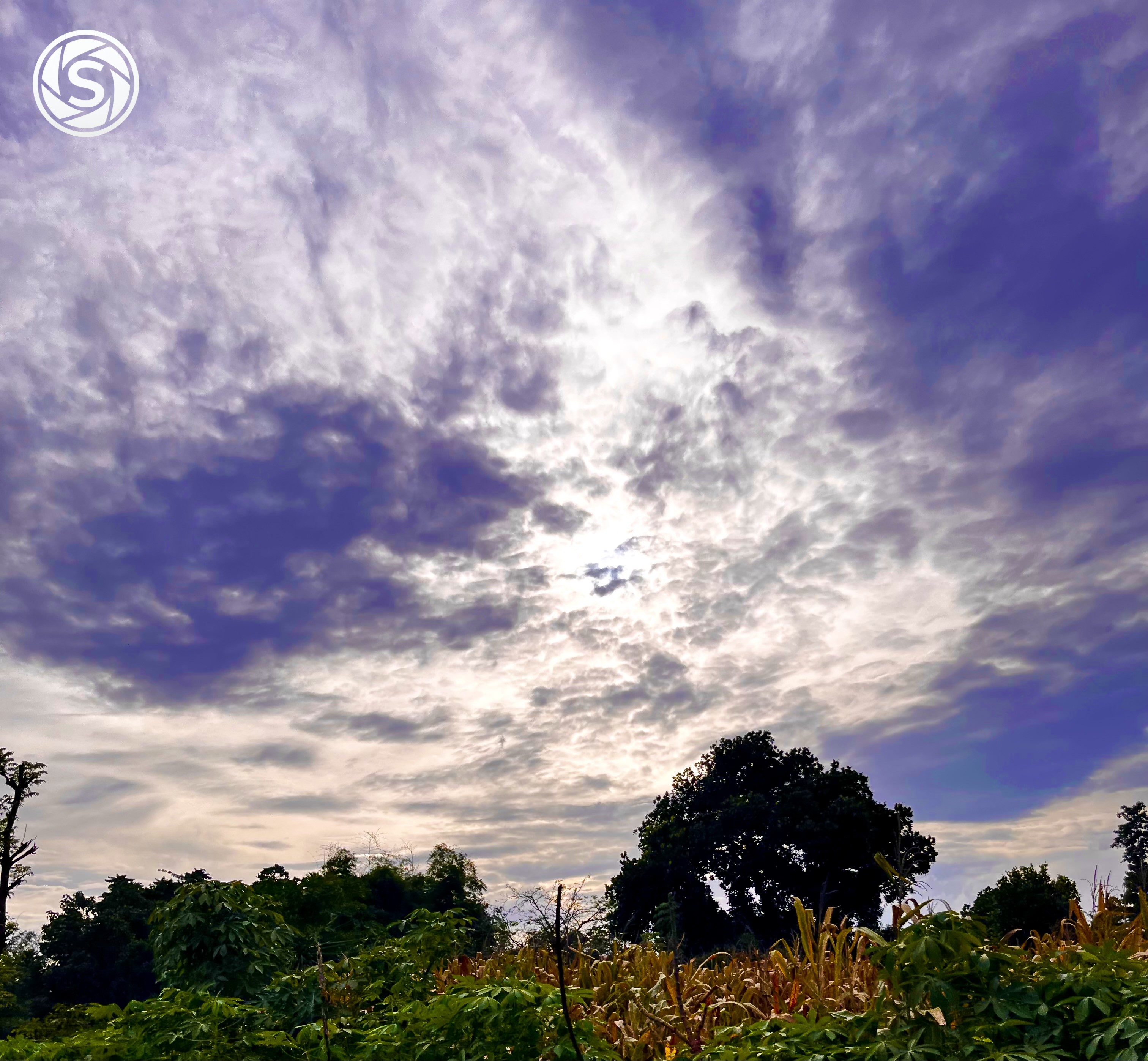 Langit dan sawah - foto oleh Irul Basori di PictStock