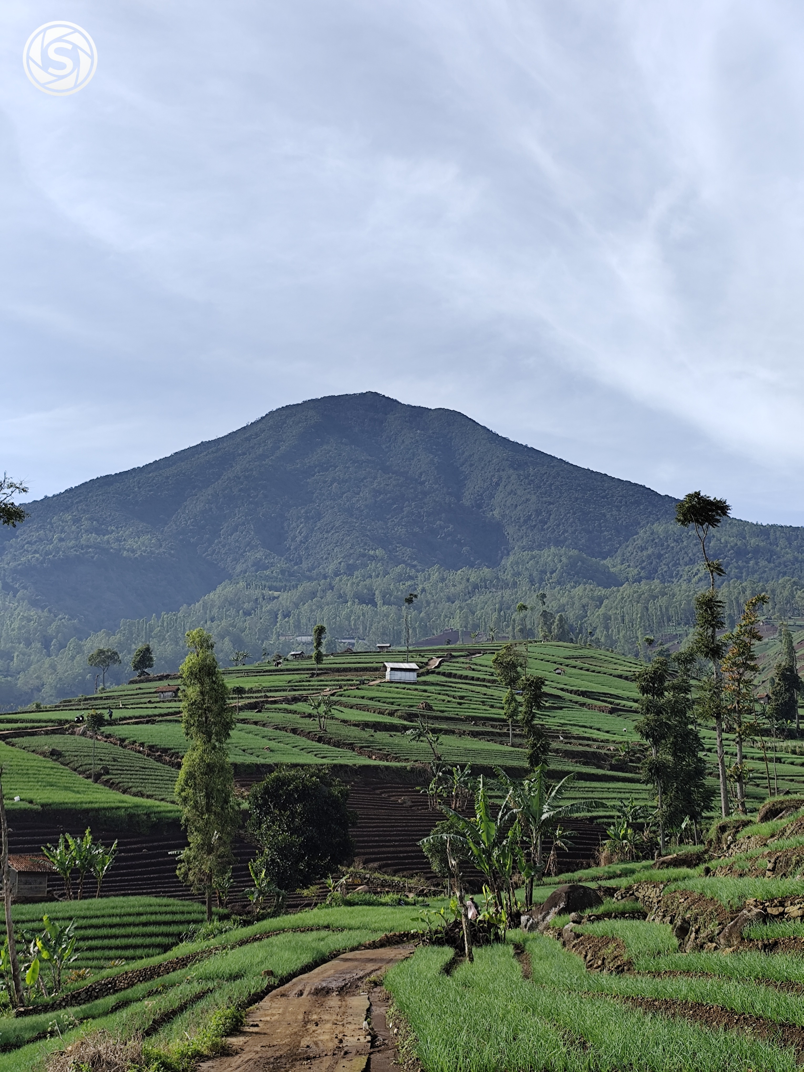 Pemandangan gunung Cikuray dari terasering baru gantung - foto oleh M Fik di PictStock