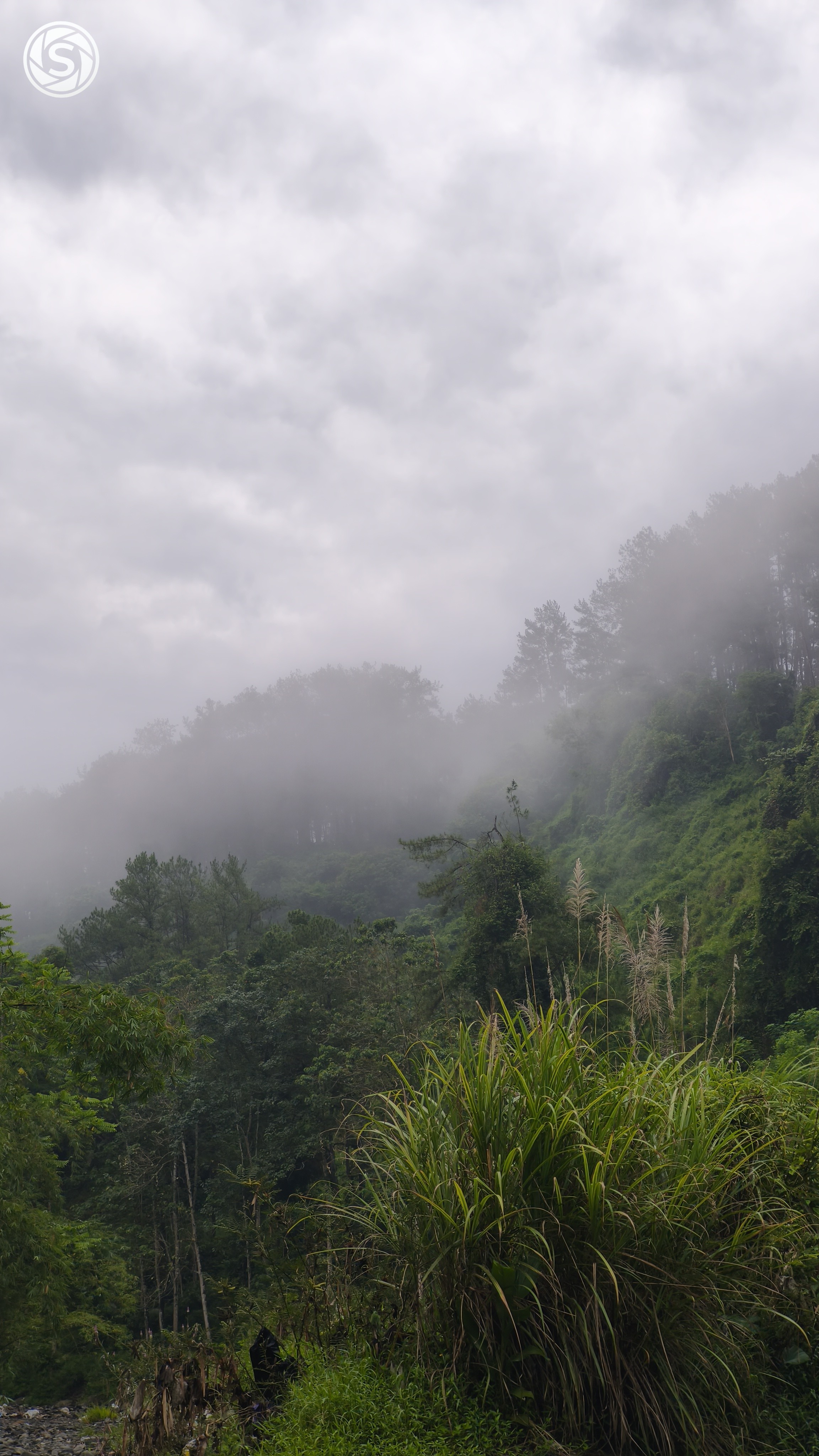 Alam Pagi - foto oleh Ilyas Alhafiz di PictStock